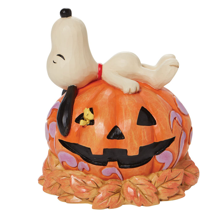 Snoopy Laying ontop of Carved