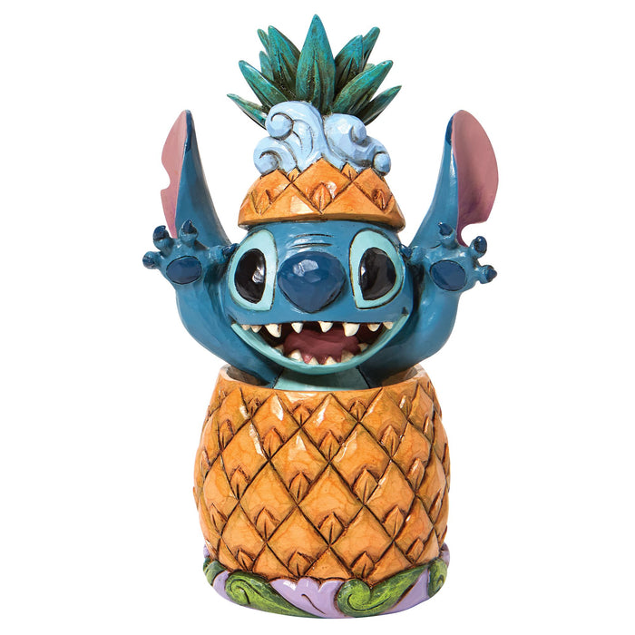 Stitch in a Pineapple